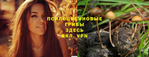 СК Иннополис